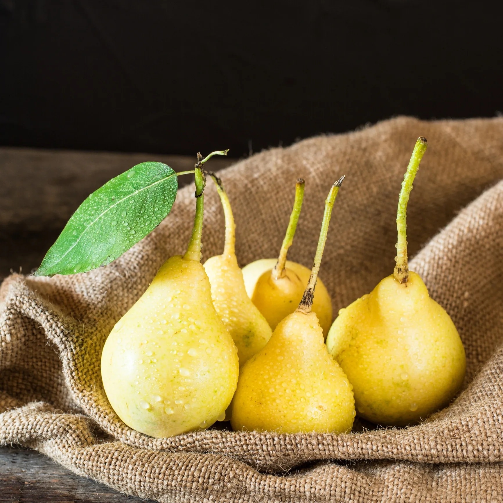 Golden Pear